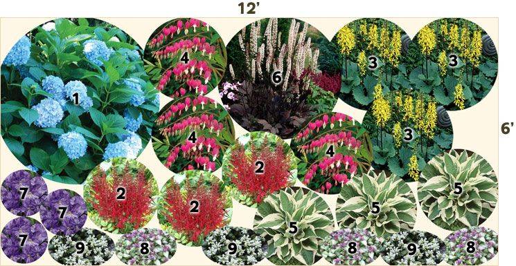 Bluestone Perennials Step