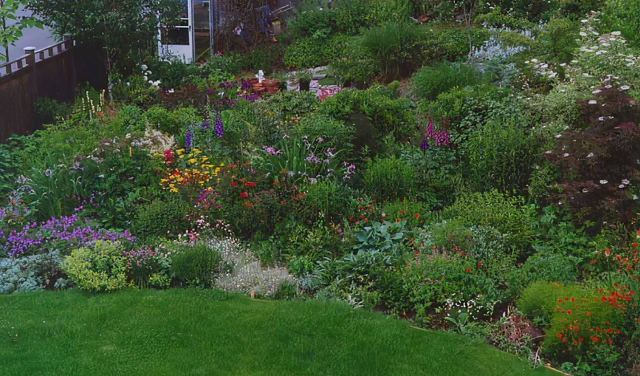 Shade Garden Ideas Zone Decorating Inspiration