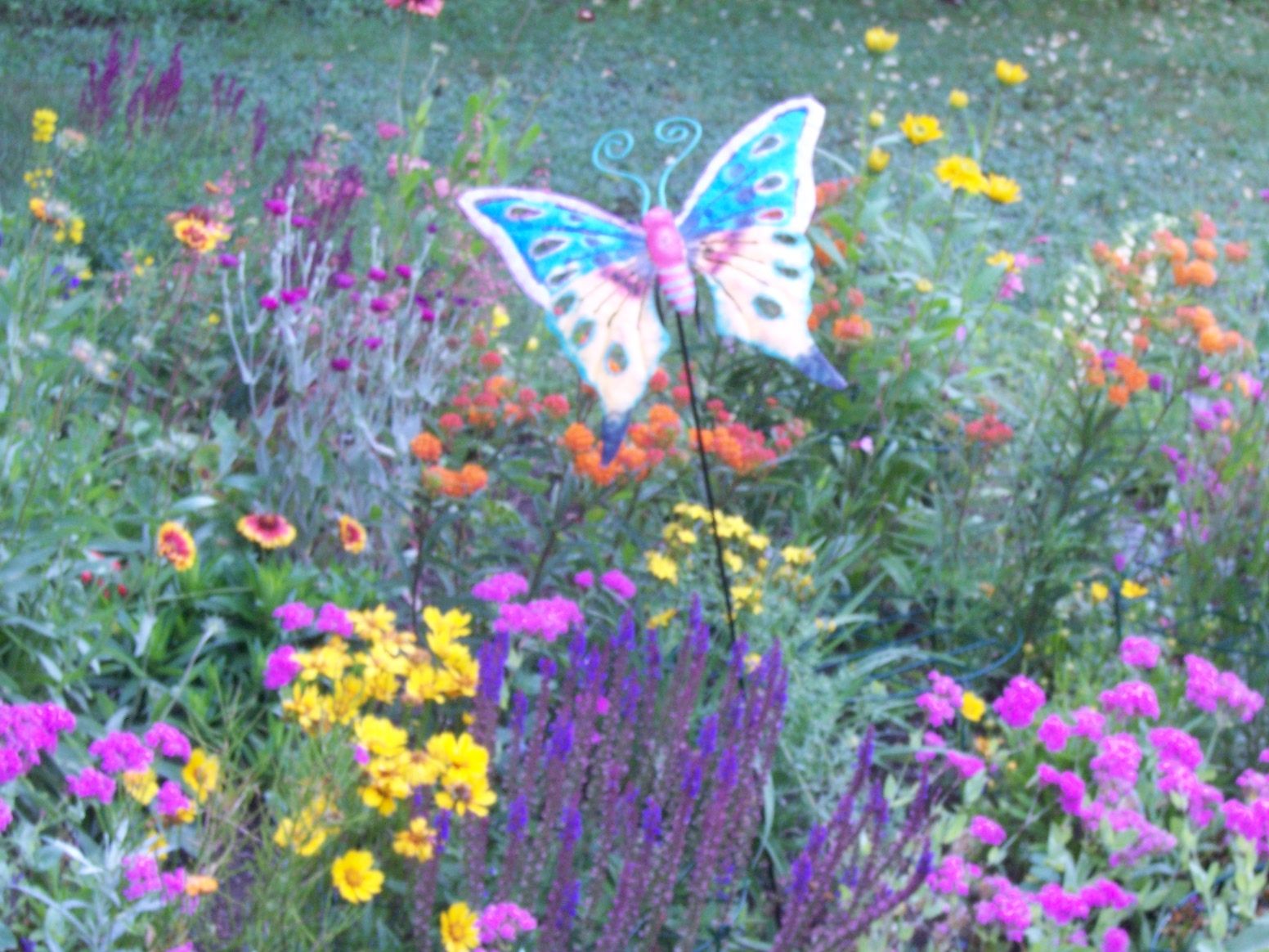 Butterfly Garden Ideas Zone