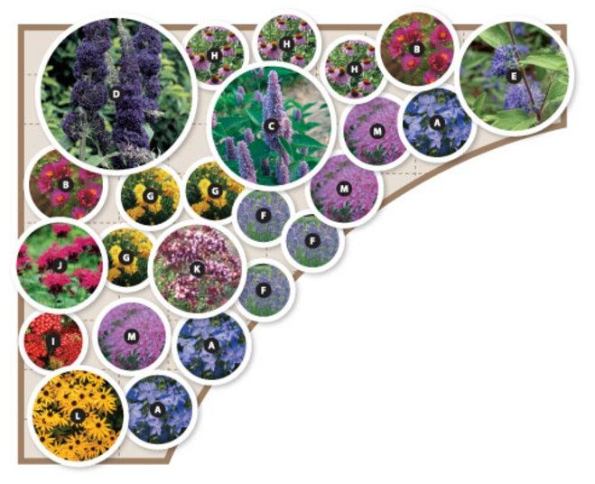 New Pinterest Butterfly Garden Design
