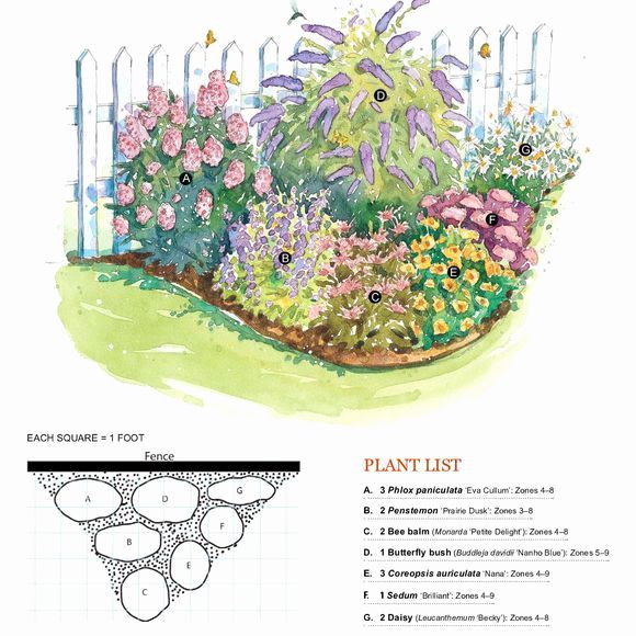 The Wildlife Gardener Butterfly Garden Design