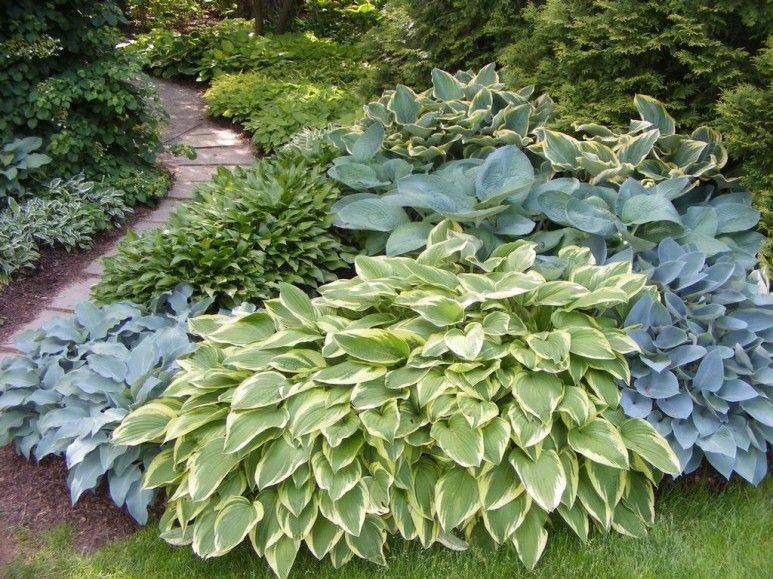 Interesting Flowers Garden Design Ideas