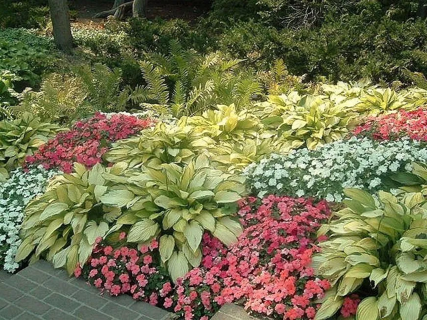 Garden Landscape Design