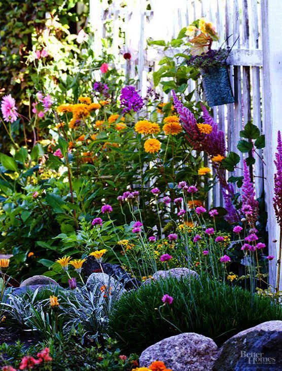 Shade Ground Cover Perennials