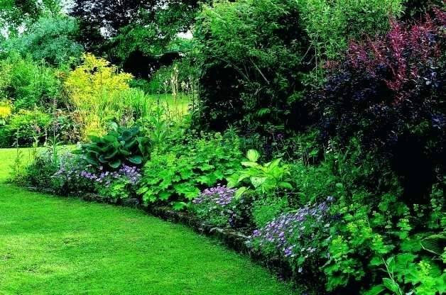Topnotch Garden Design Ideas Zone Ideas Modern Design