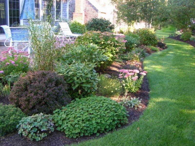 Front Yard Zone