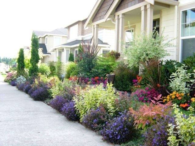 Front Yard Zone