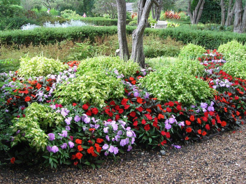 Flower Bed Ideas