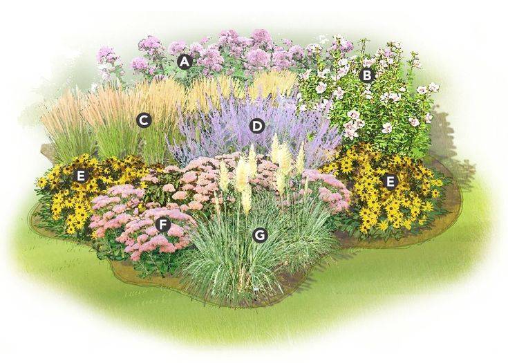 Zone Butterfly Garden Design