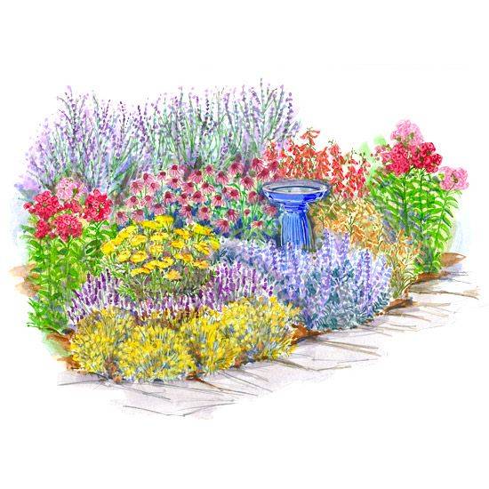 Zone Shade Garden Plans