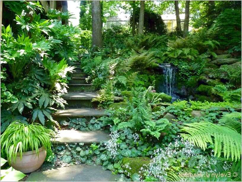Azaleas Landscaping P Pinterest