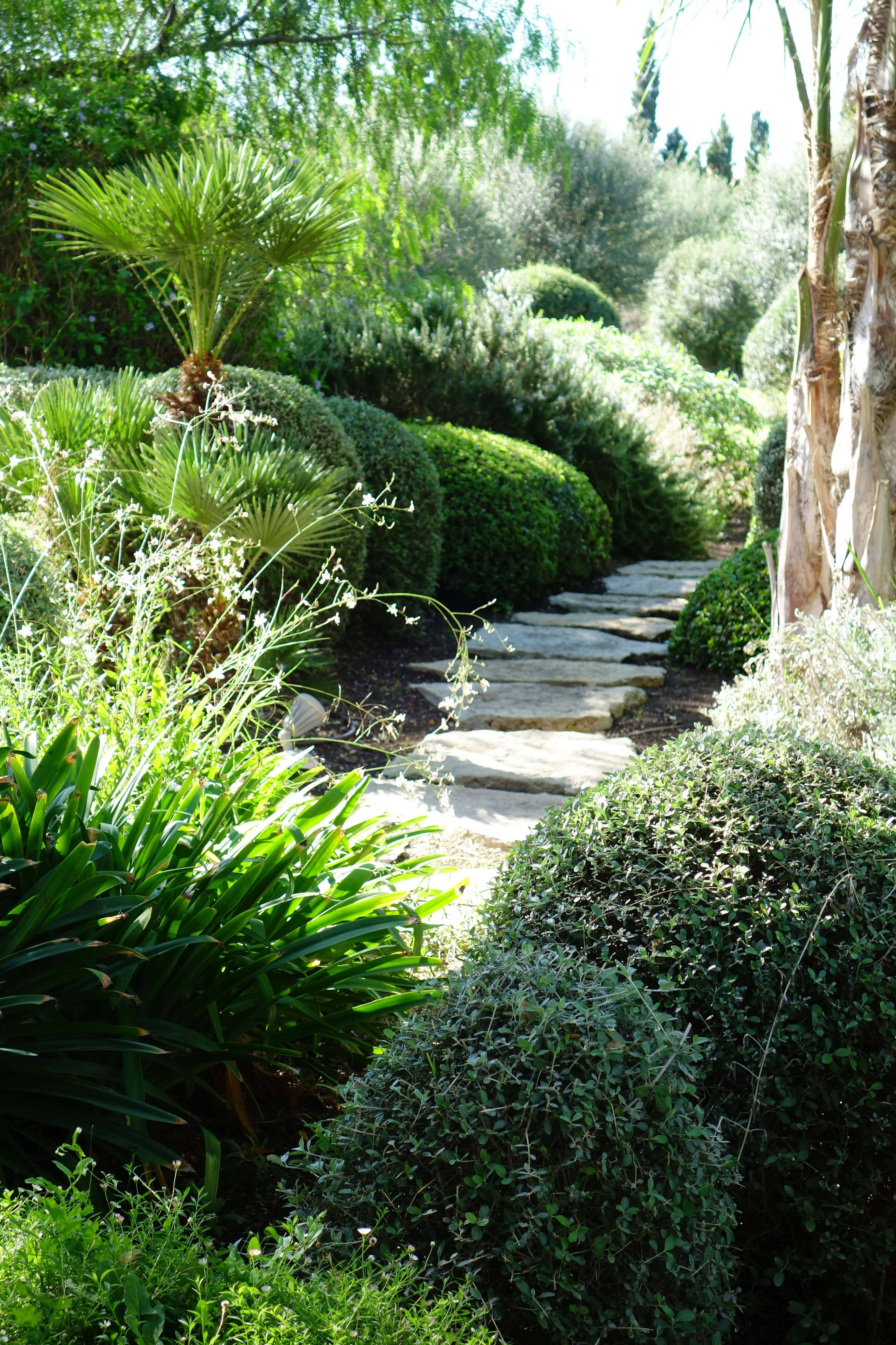 Whimsical Woodland Shade Gardens