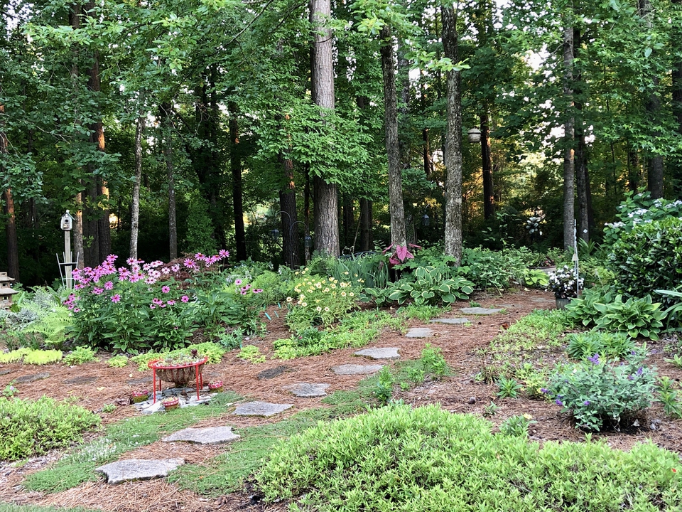 Shade Garden Design
