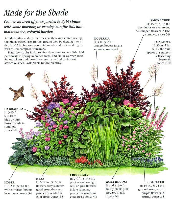 Shade Garden Design Zone
