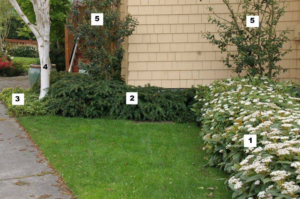 Shade Garden Design Zone