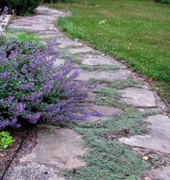 Five Full Shade Perennials