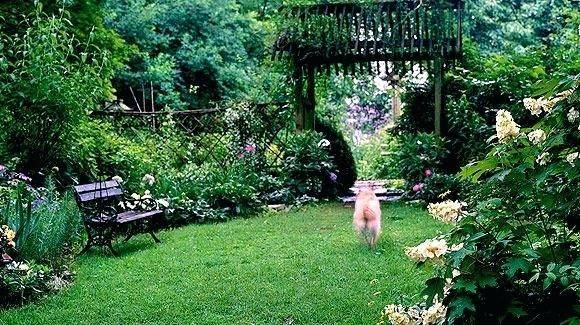 Shade Garden Design Zone