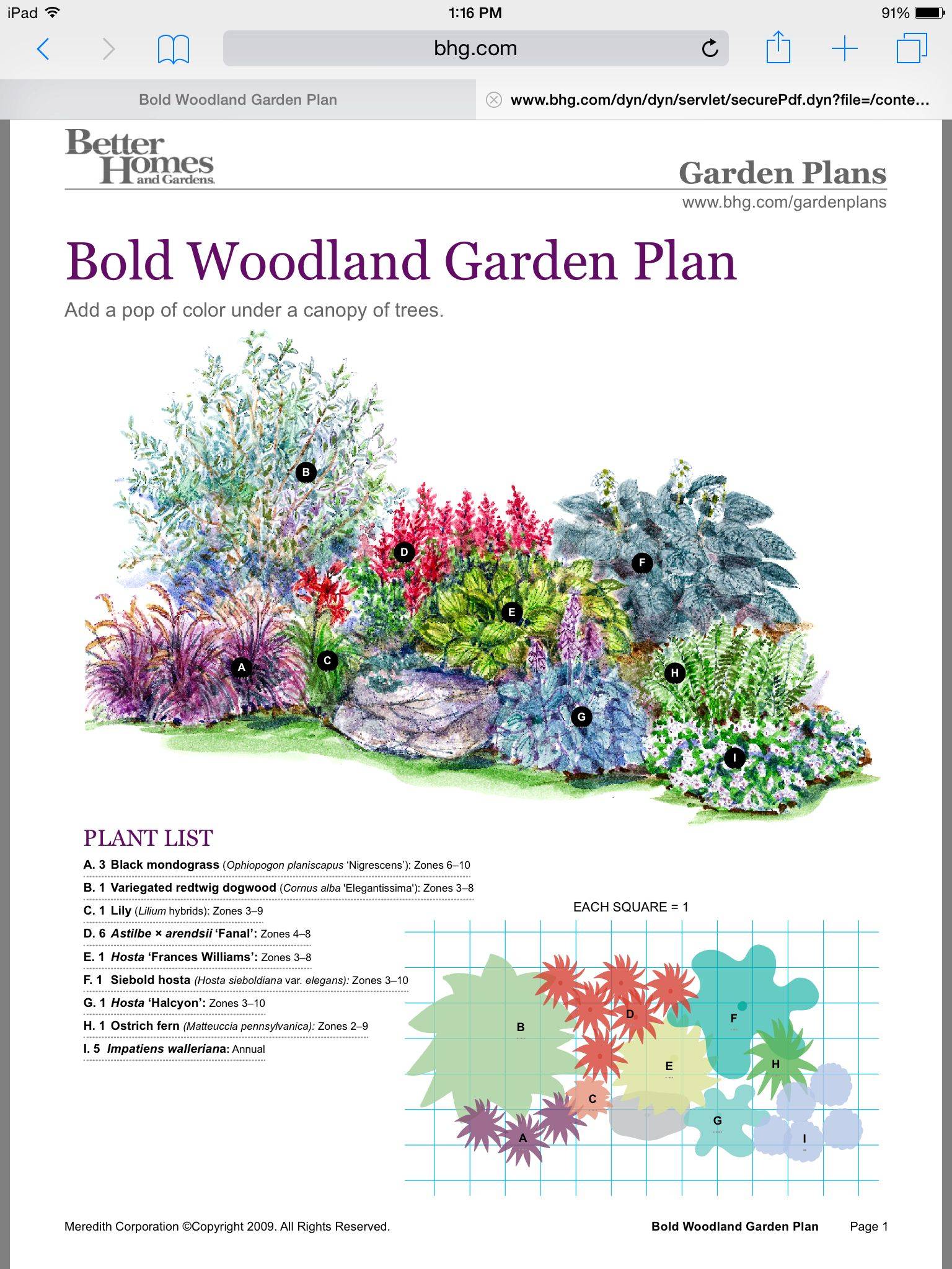 Shade Garden Design Zone