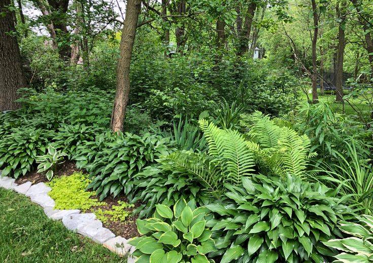 Shade Garden Design Zone Shade Garden Design Tips Garden Gate