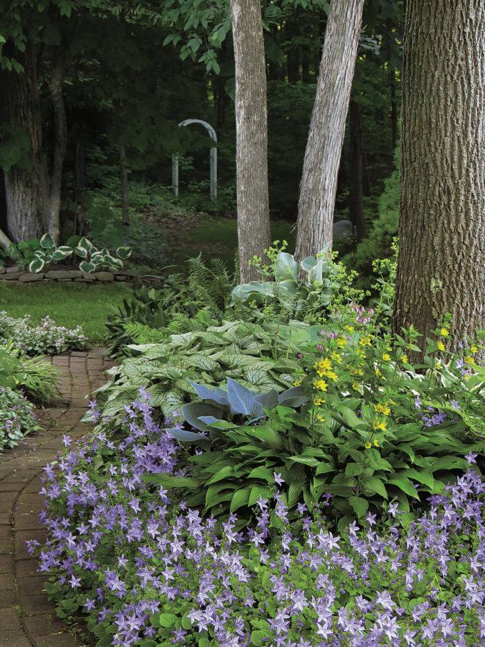 North Carolina Extension Gardener Plant Toolbox