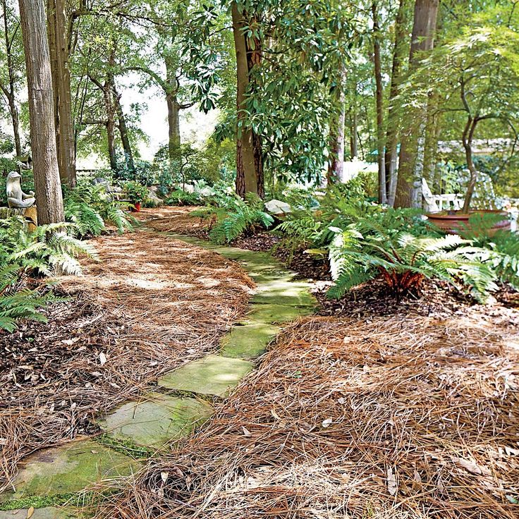 Landscape Design Renovations