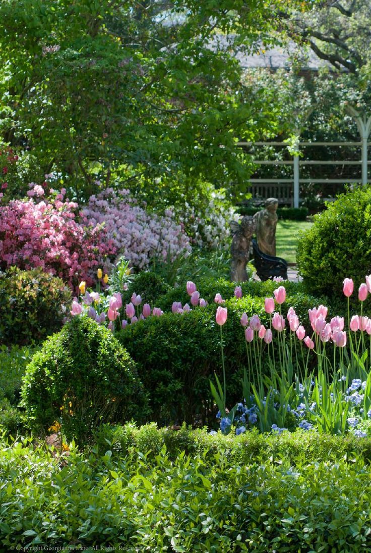 South Carolina Beautiful Gardens