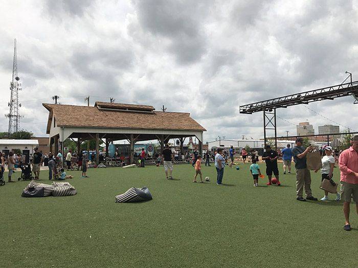 Beautiful Magnolia Tree Magnolia Trees