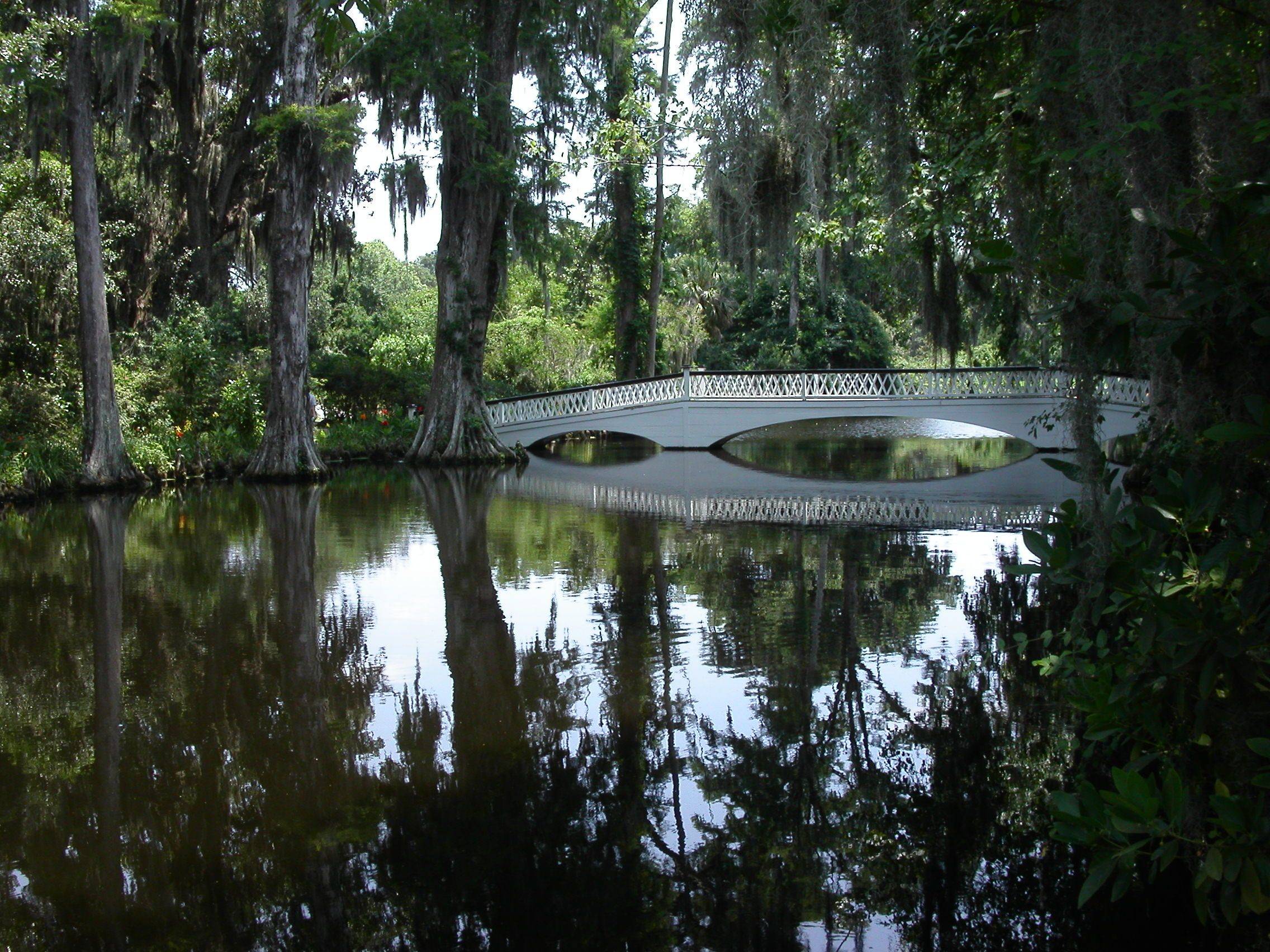 French Friday Magnolia Time
