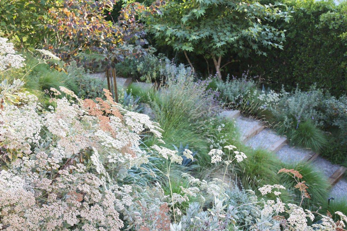 South Carolina Magnolia Gardens