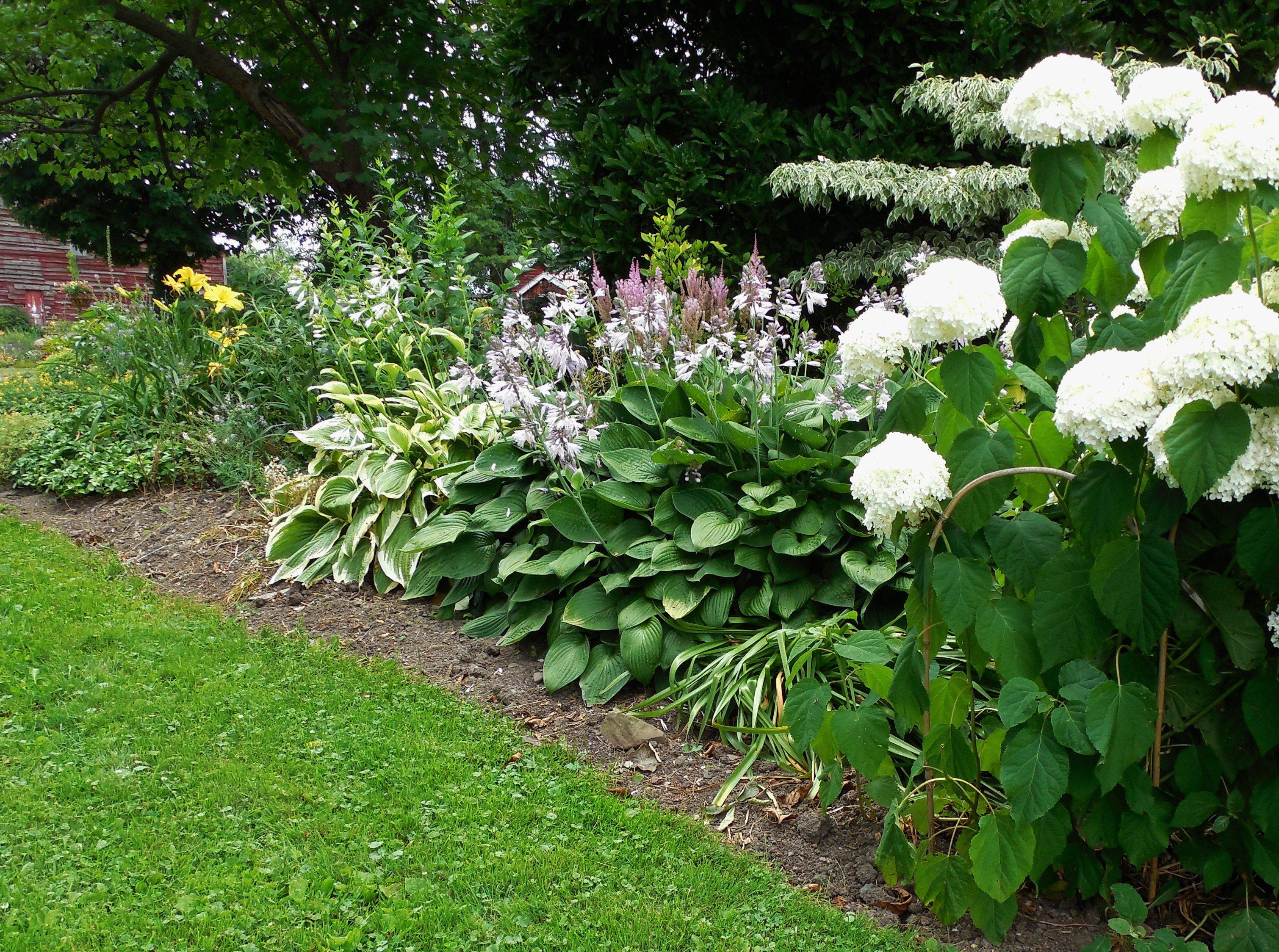 Beautiful Flower Bed Edging Convention