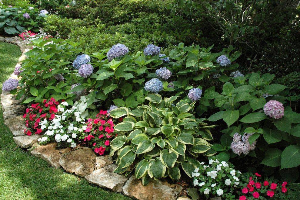 Hostas Impatience And Hydrangea Backyard Landscaping Designs