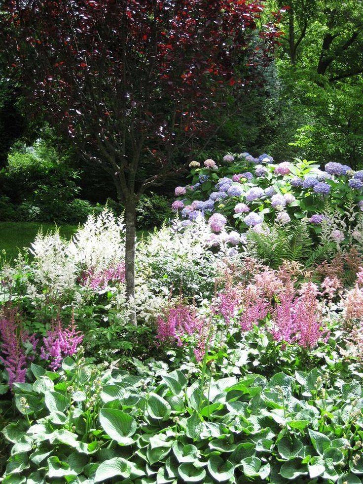 Hydrangea And Hosta Garden Garden Perfect