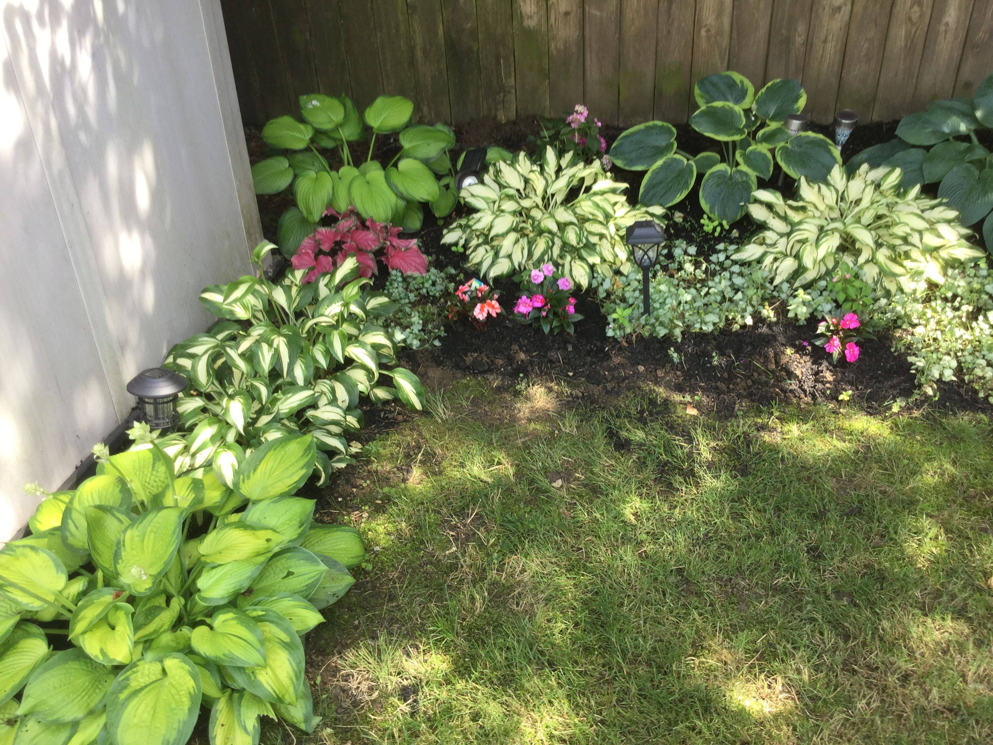 Hydrangea Hosta And Garden Design Shade Plants