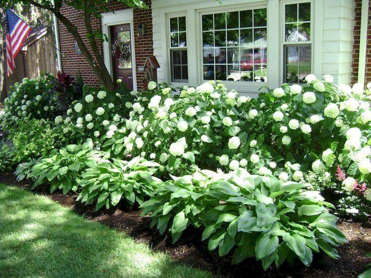 Lovely Shade Garden