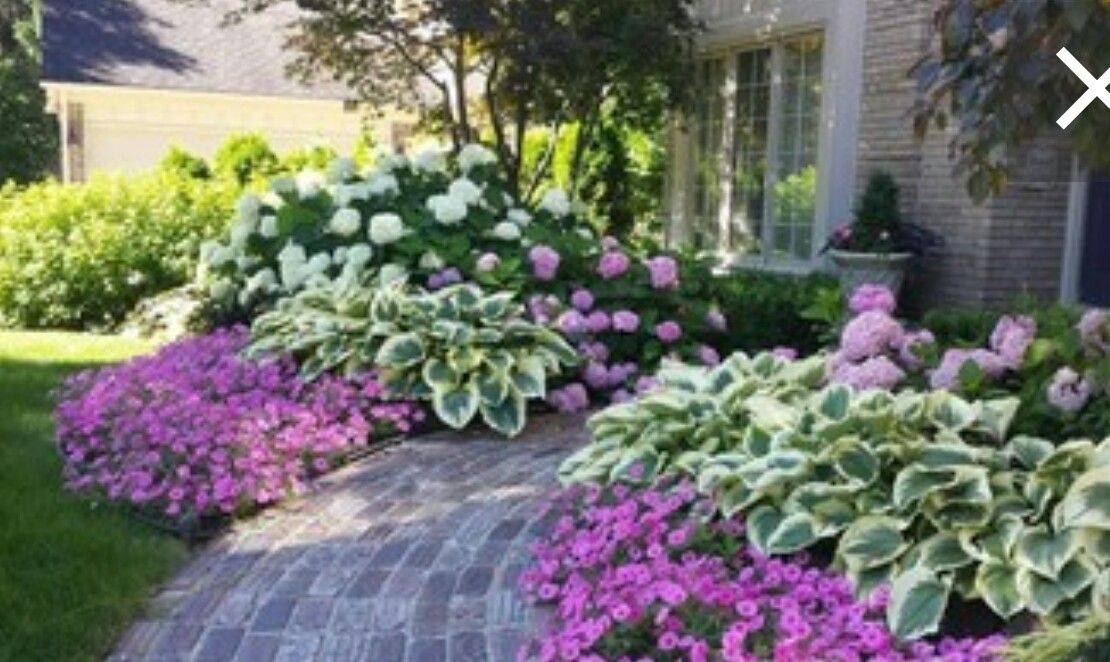Shade Garden