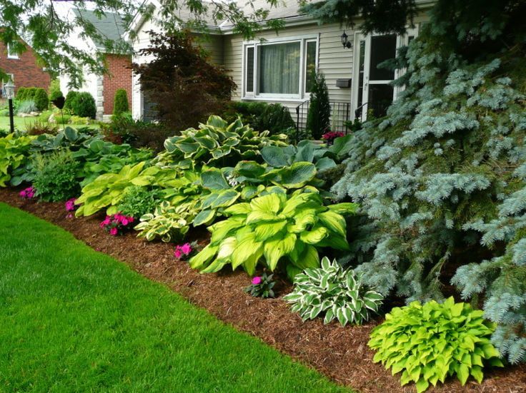 Hostas Garden Ideas