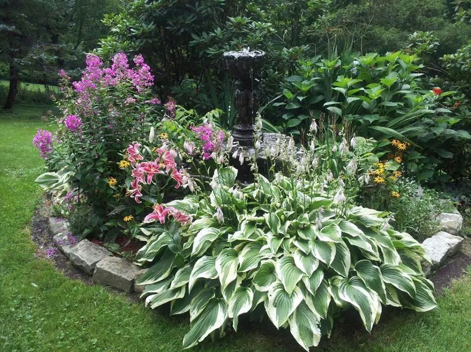 Hostas Garden Ideas