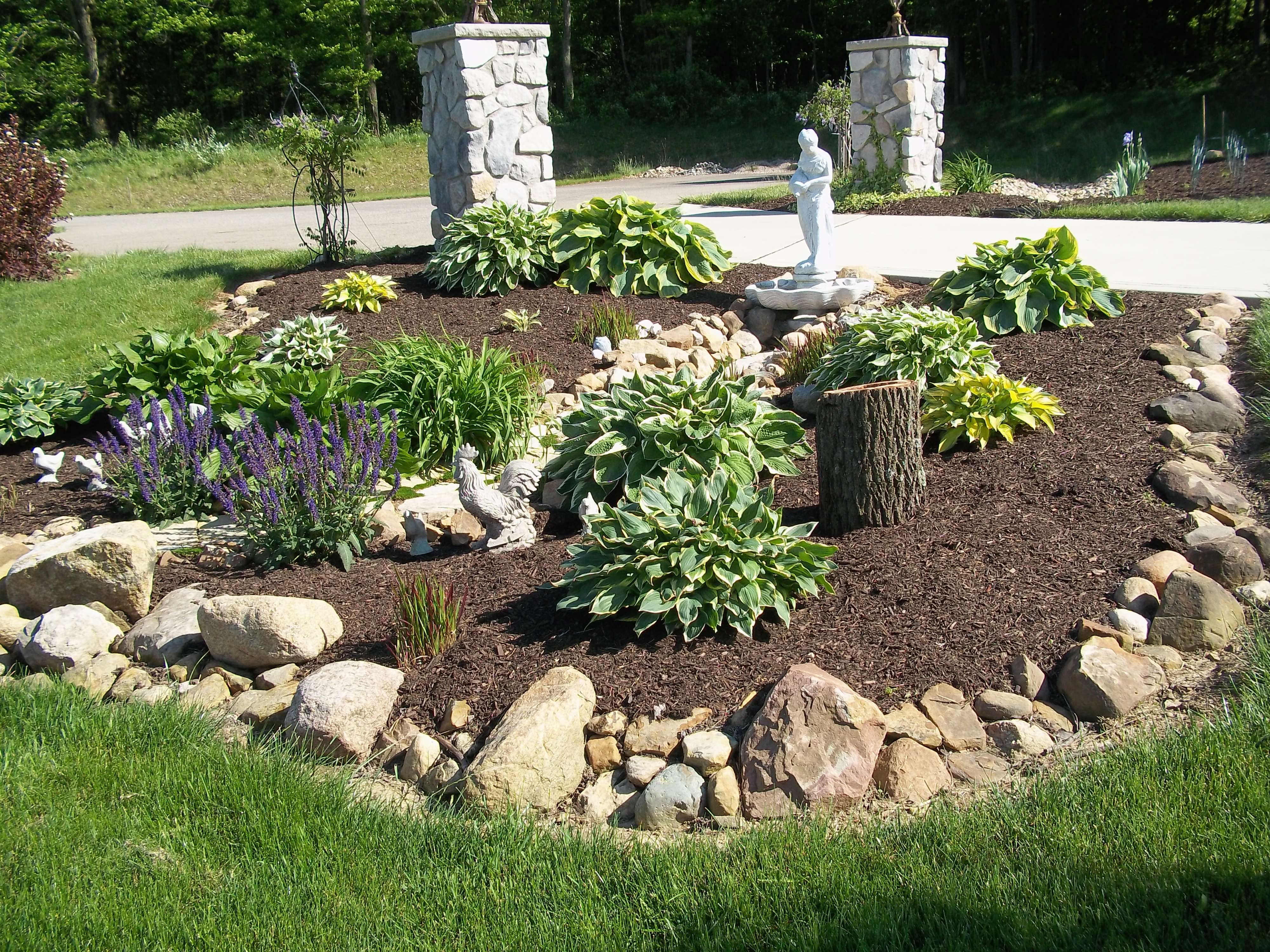 Hosta Garden Hosta Gardens