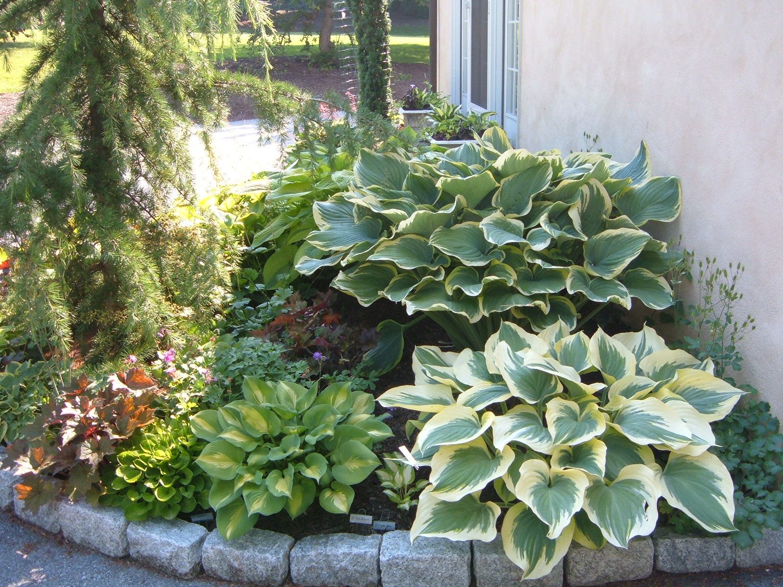 Garden Landscape Design