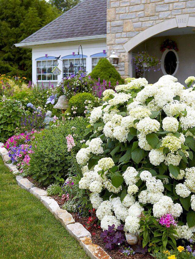 Bowl Pot Planting Hydrangeas