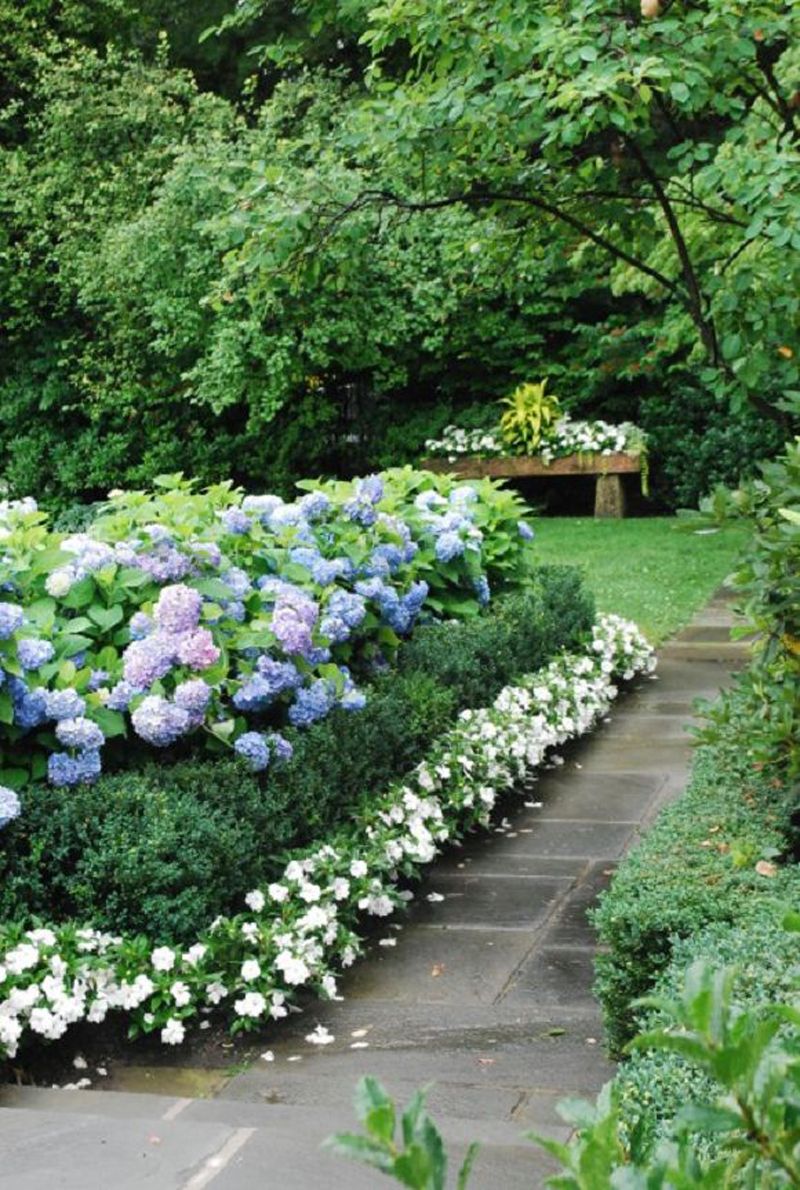 Pinterest Border Garden