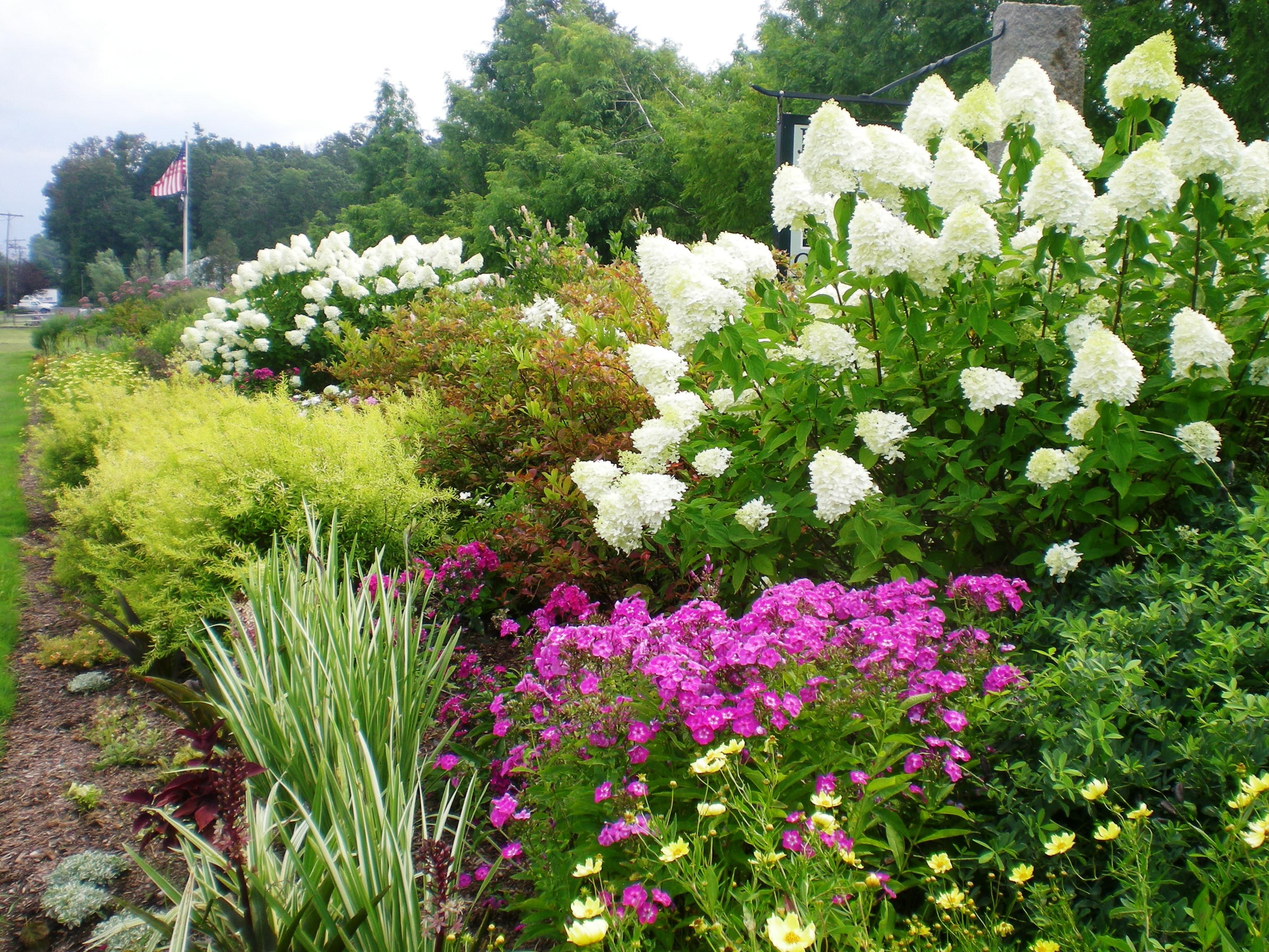 Azaleas Landscaping
