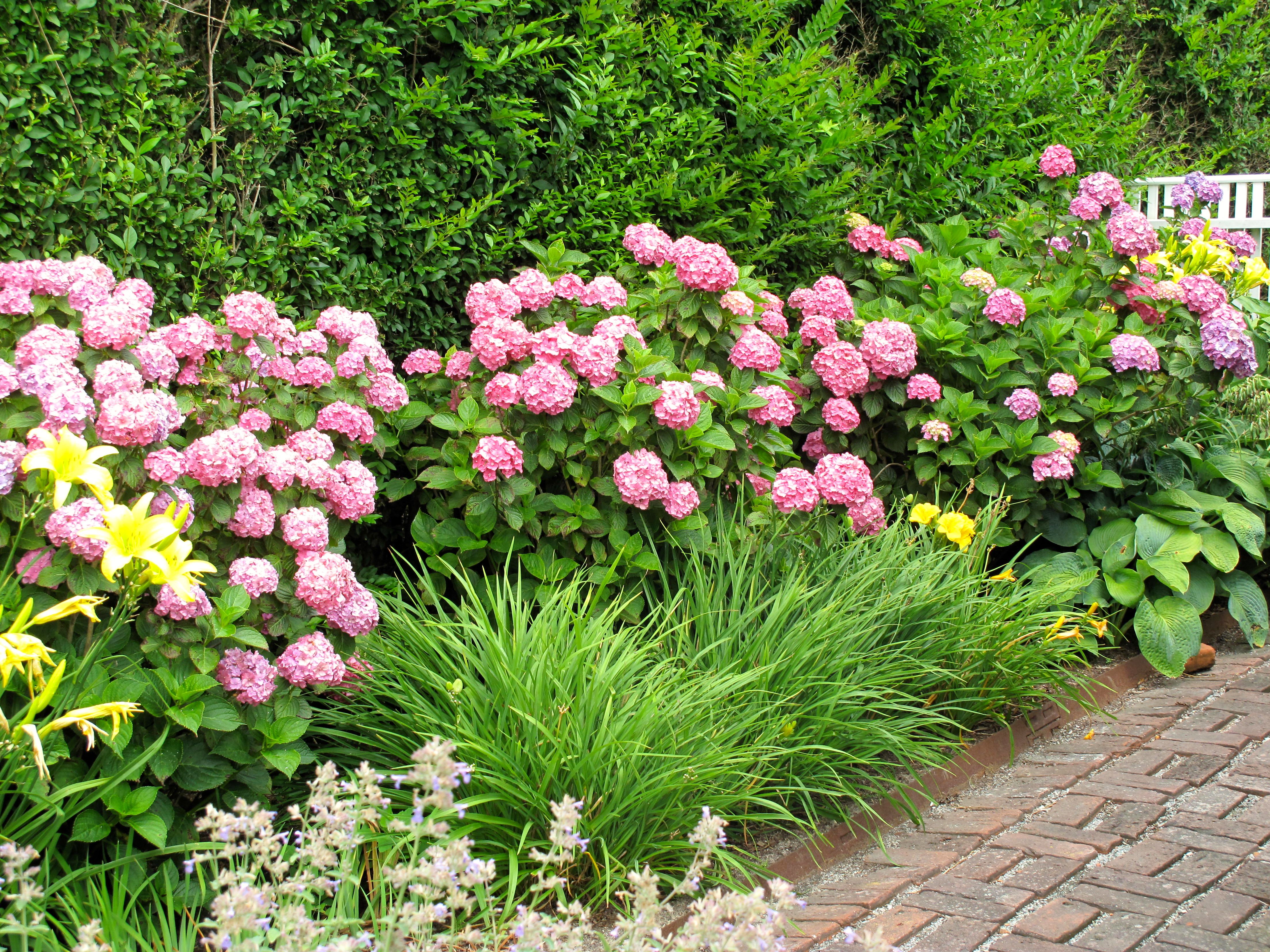 Landscape Design Planting Layers