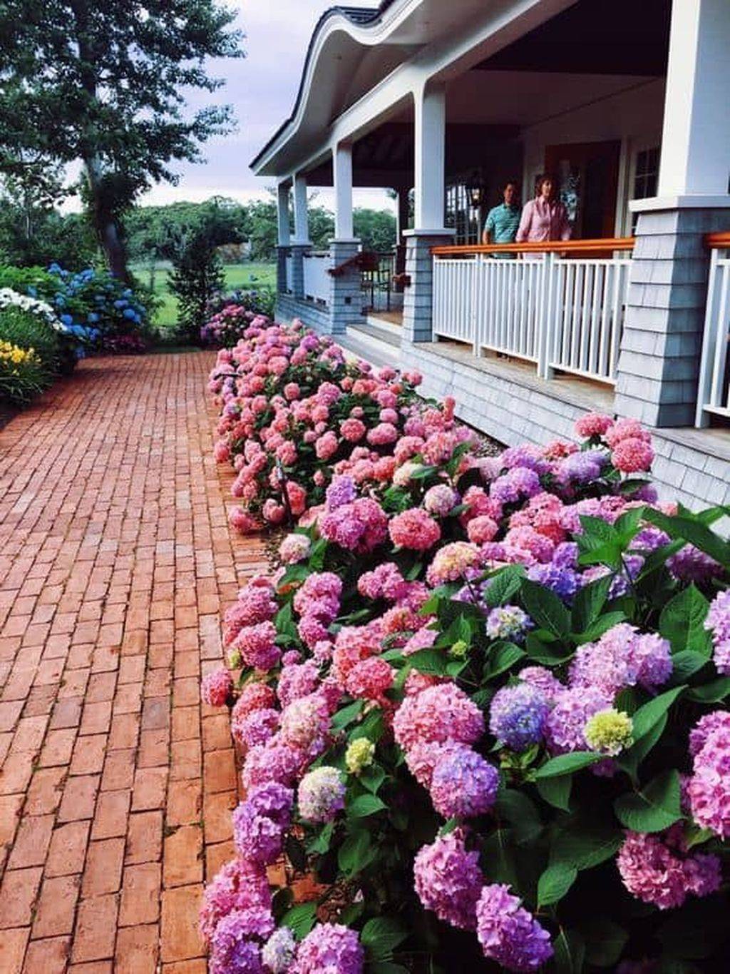 Front Yard Landscaping