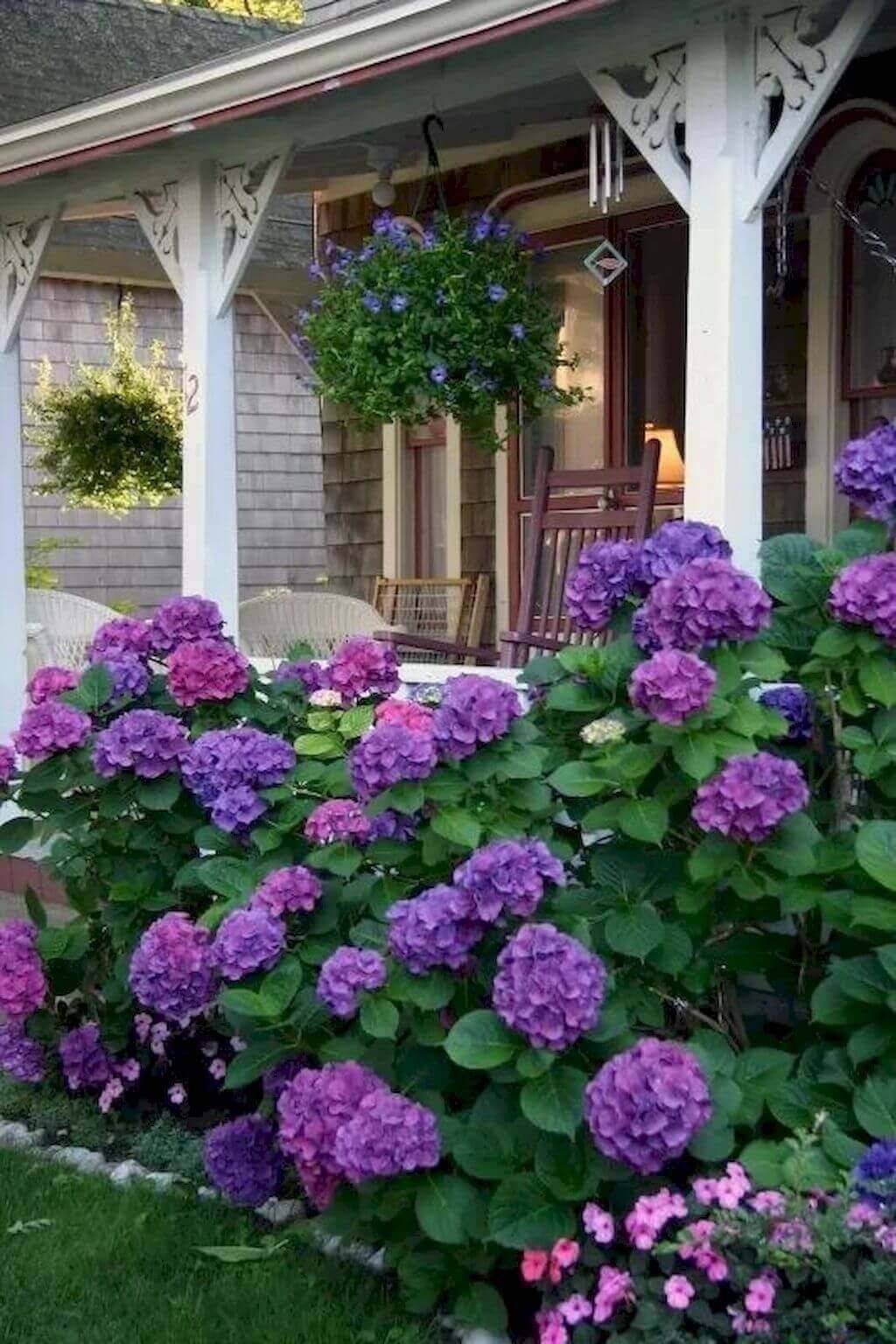 Cottage Hydrangea Garden
