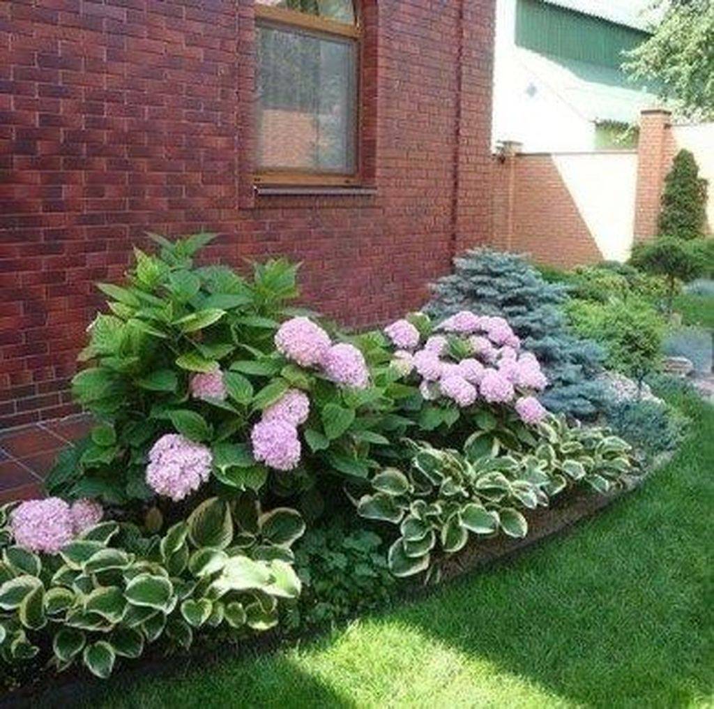 Gardening White Hydrangea Garden