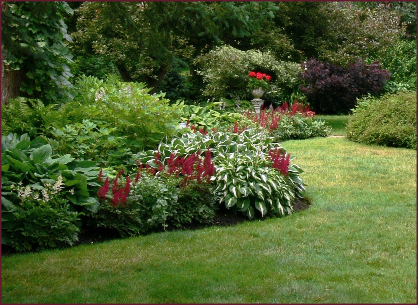 Astilbe Hosta Gardens