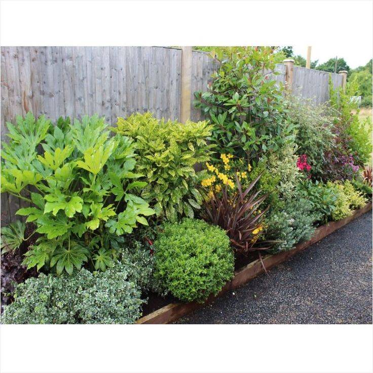Stunning Evergreen Landscaping Ideas