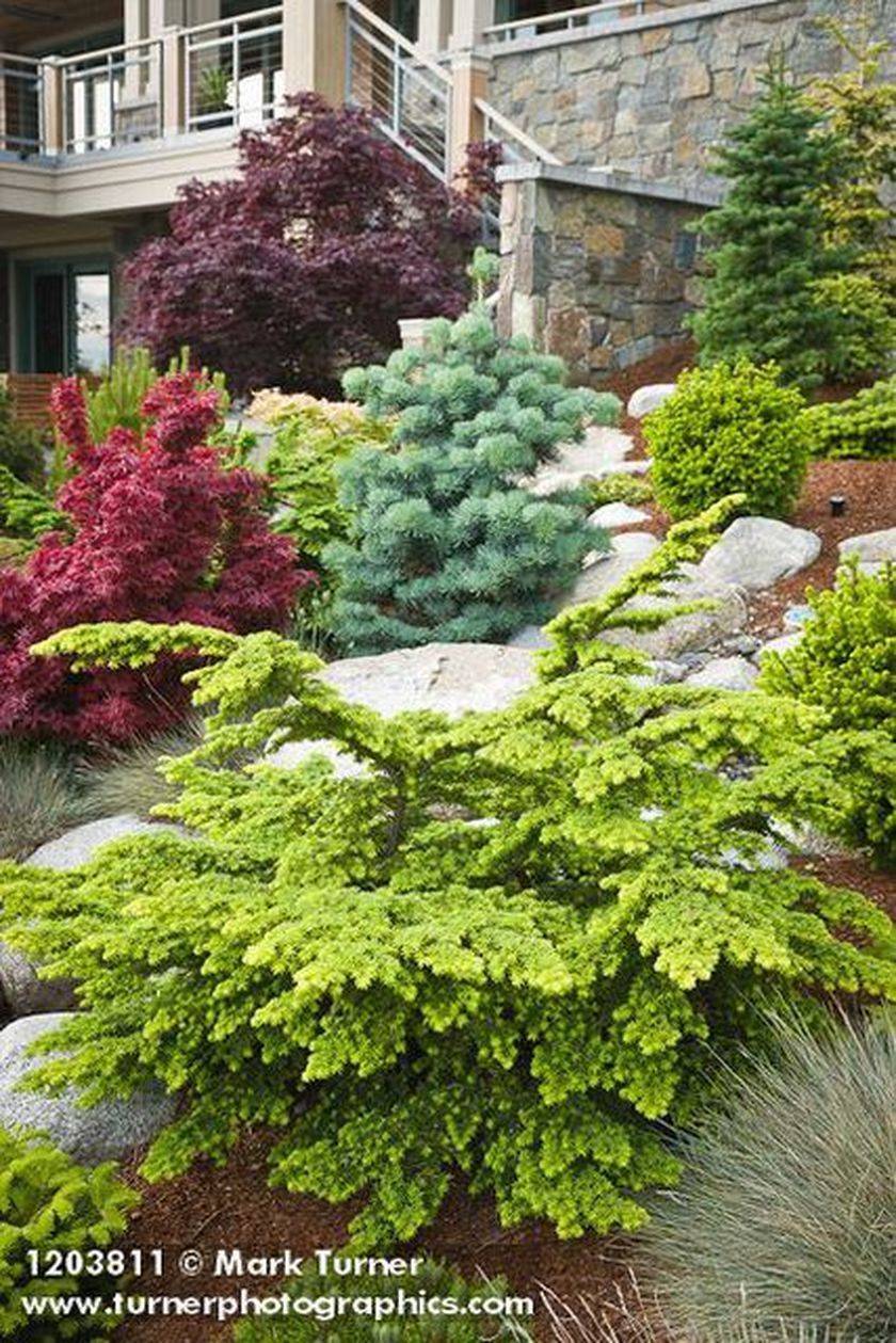 Pin On Gardens By Design