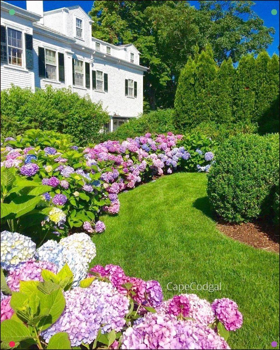 Frontyard Landscaping Ideas